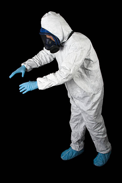 Professional Mold Removal in Ladera Heights, CA