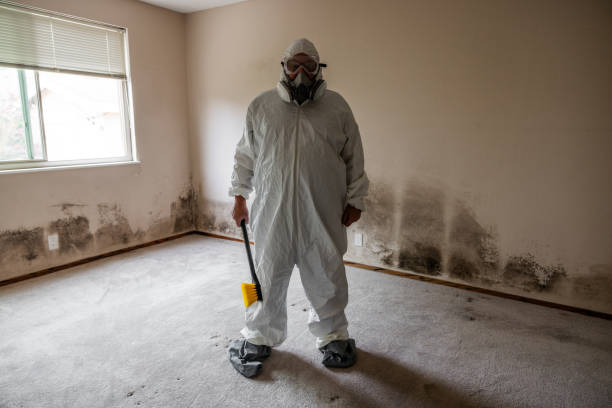 Best Biohazard Mold Removal  in Ladera Heights, CA
